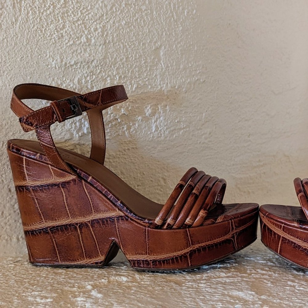 Clerergie Platform in Alligator